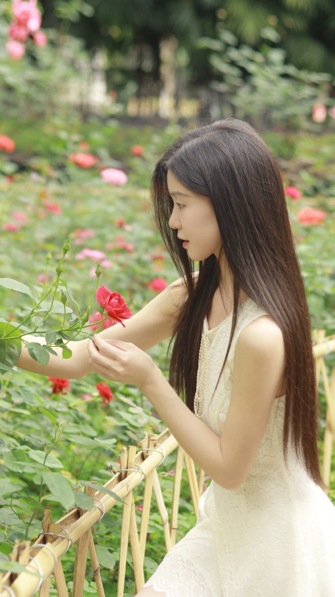 机智的医生生活 封面